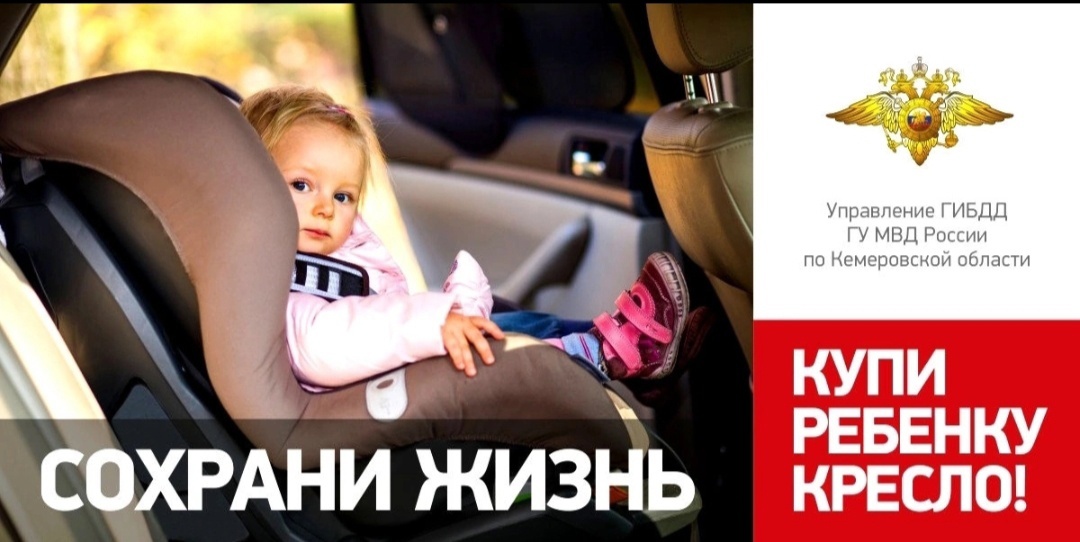 БДД.jpg